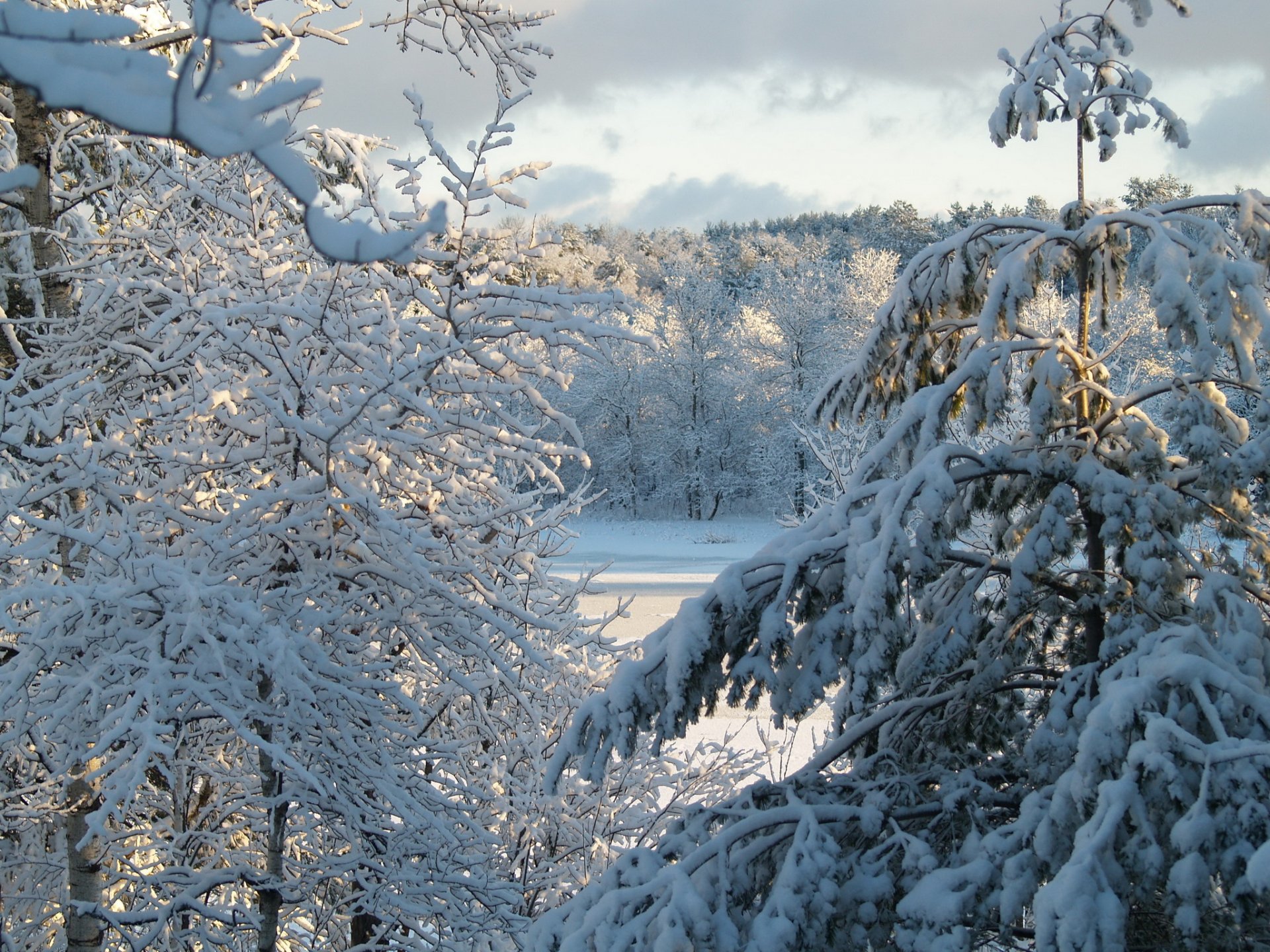 invierno nieve árboles naturaleza cielo nubes sol