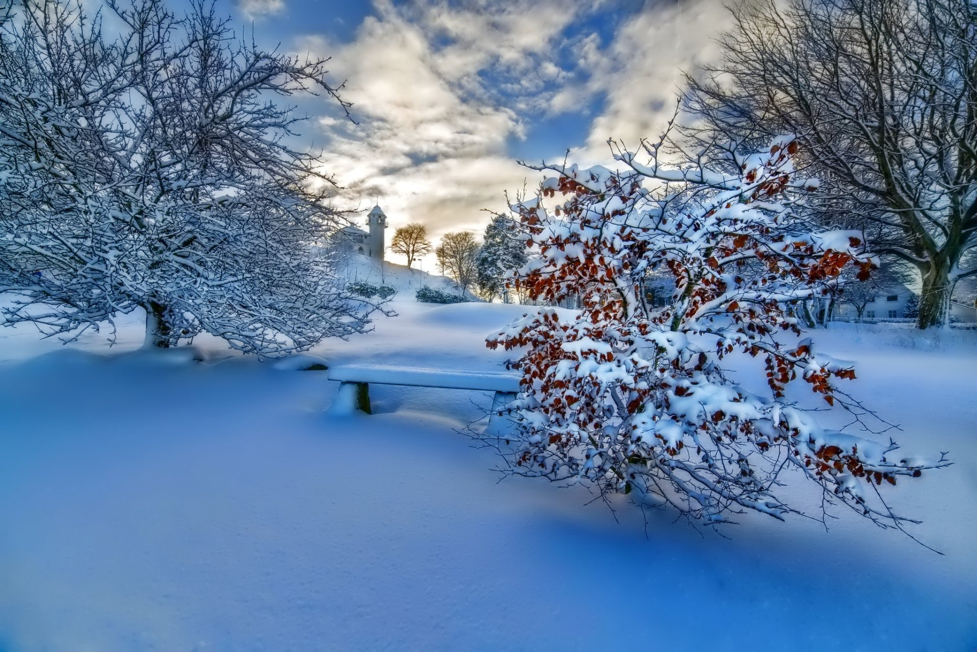 nature paysage hiver neige arbres coucher de soleil ciel nuages