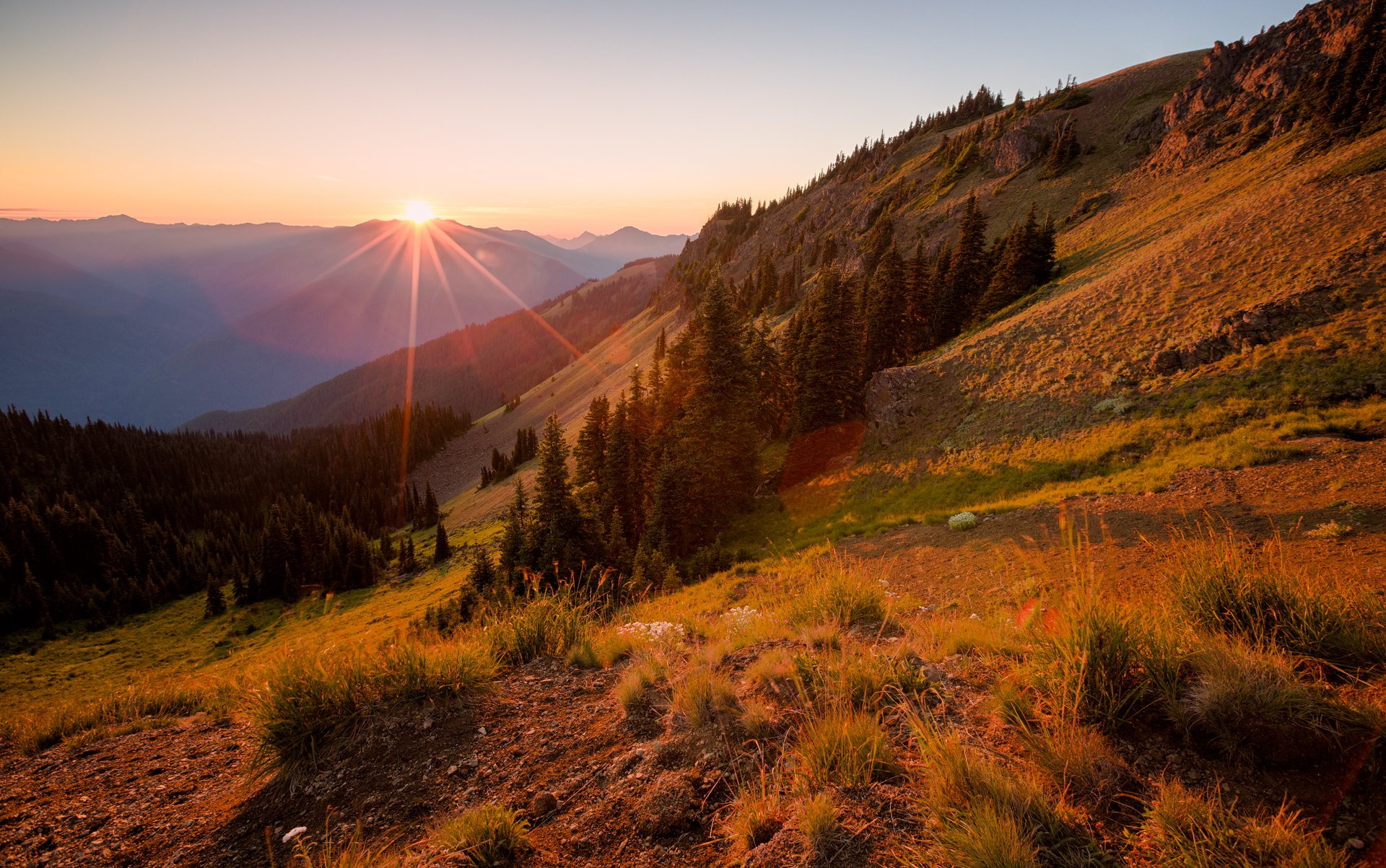 montagnes pente arbres épinettes forêt coucher de soleil soleil rayons