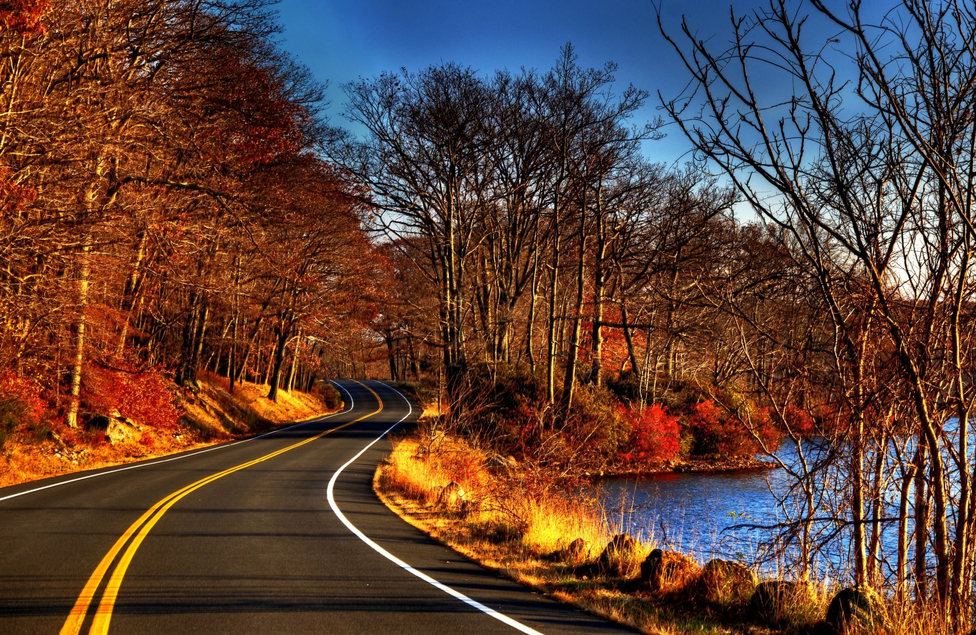 blätter bäume wald straße herbst natur fluss wasser ansicht herbst zu fuß ansicht