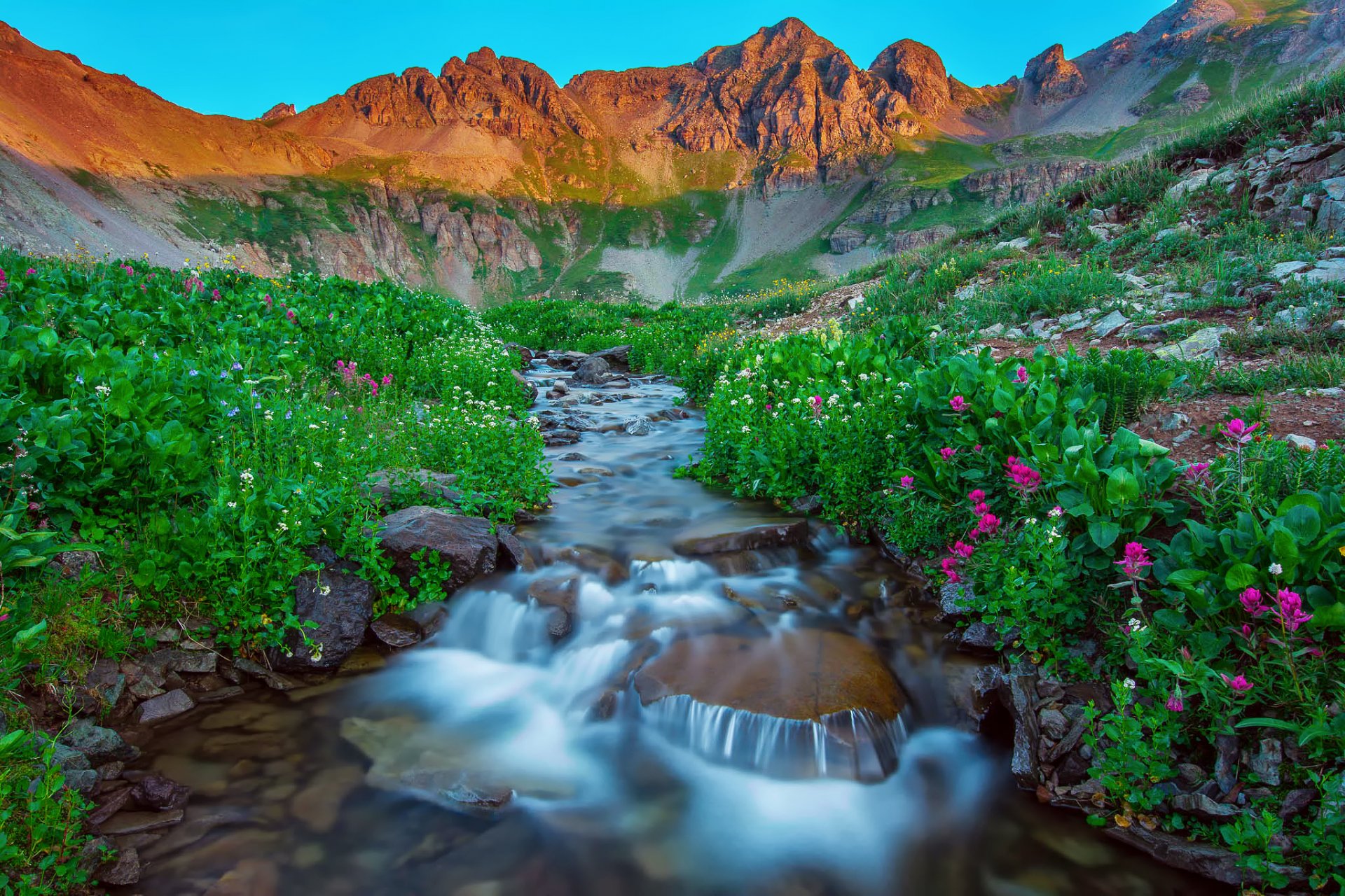 natura usa silverton colorado rano góry san juan lato góry jezioro strumień kamienie kwiaty