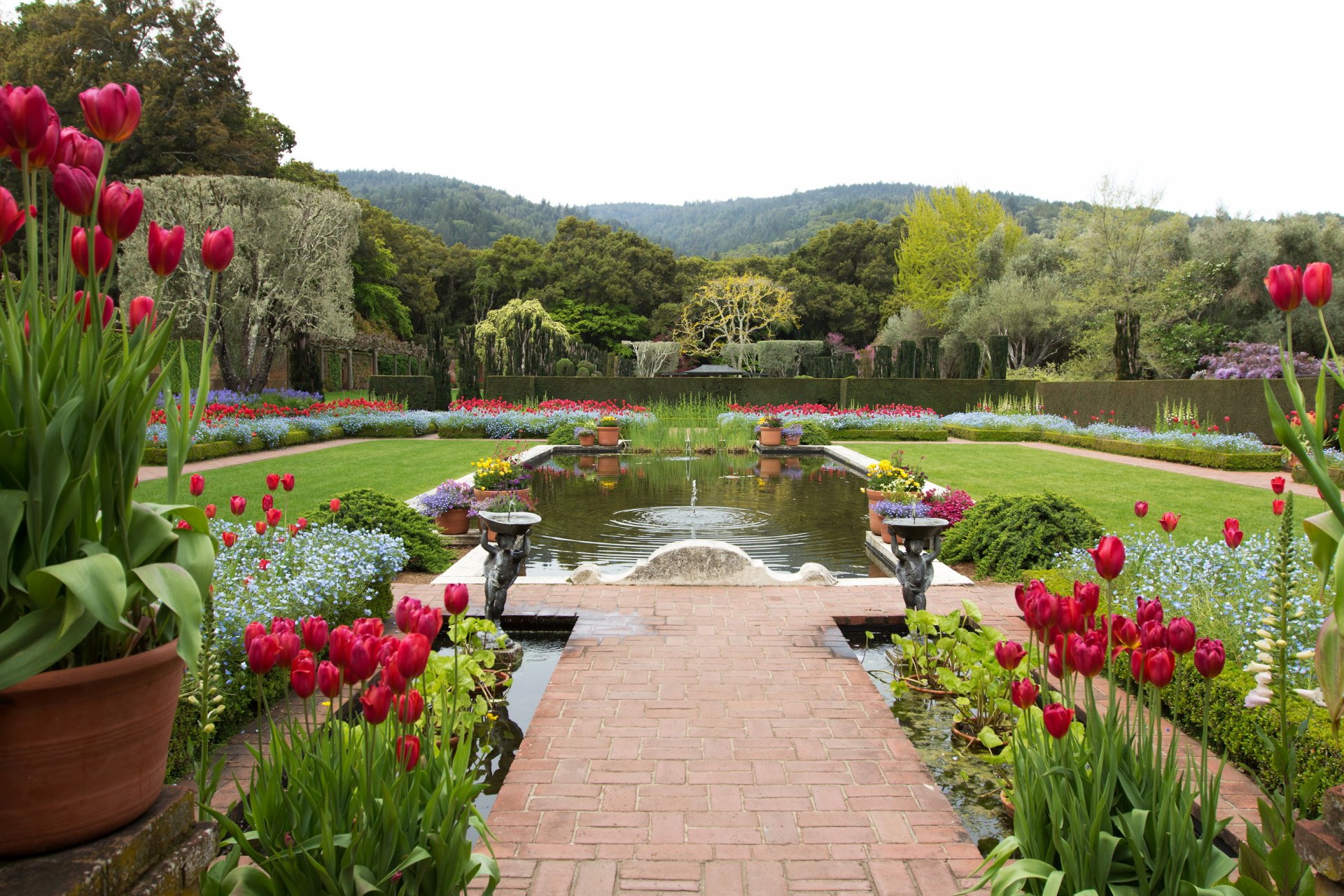 upplies united states tulips pond landscape filoli california design nature photo