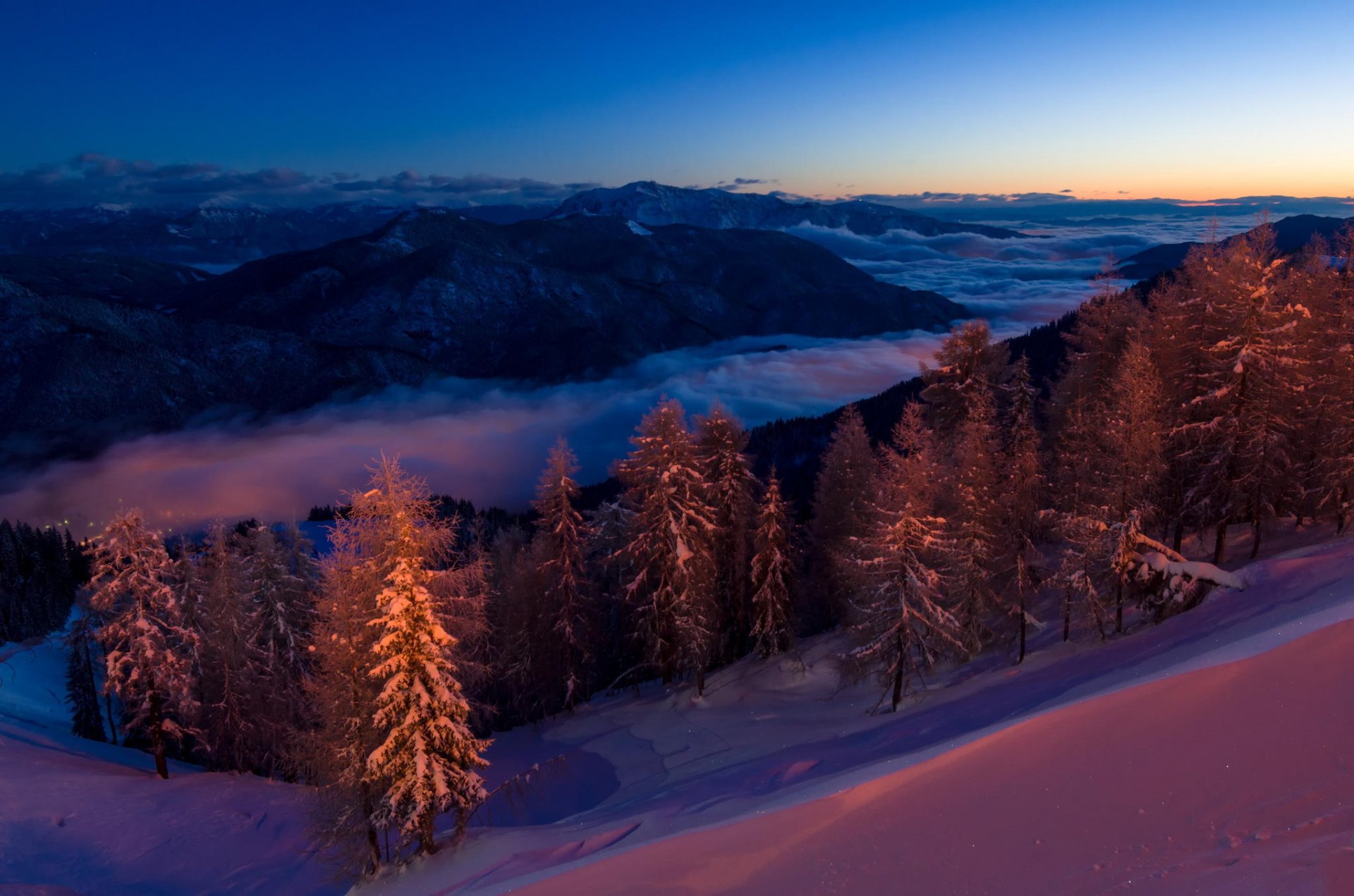 forêt magique forêt montagnes neige nuit