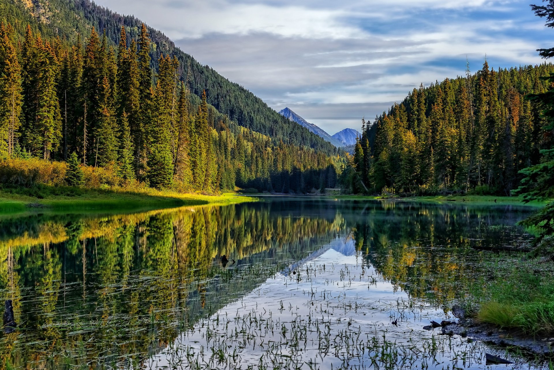 berge wald see