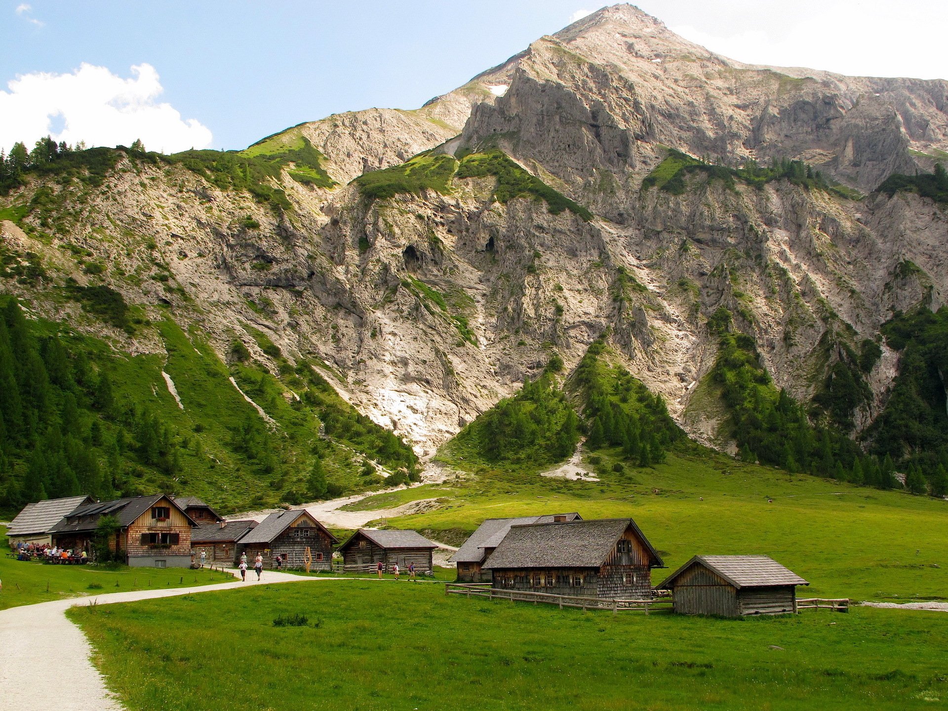 berg rock sommer wald grün zuhause natur straße