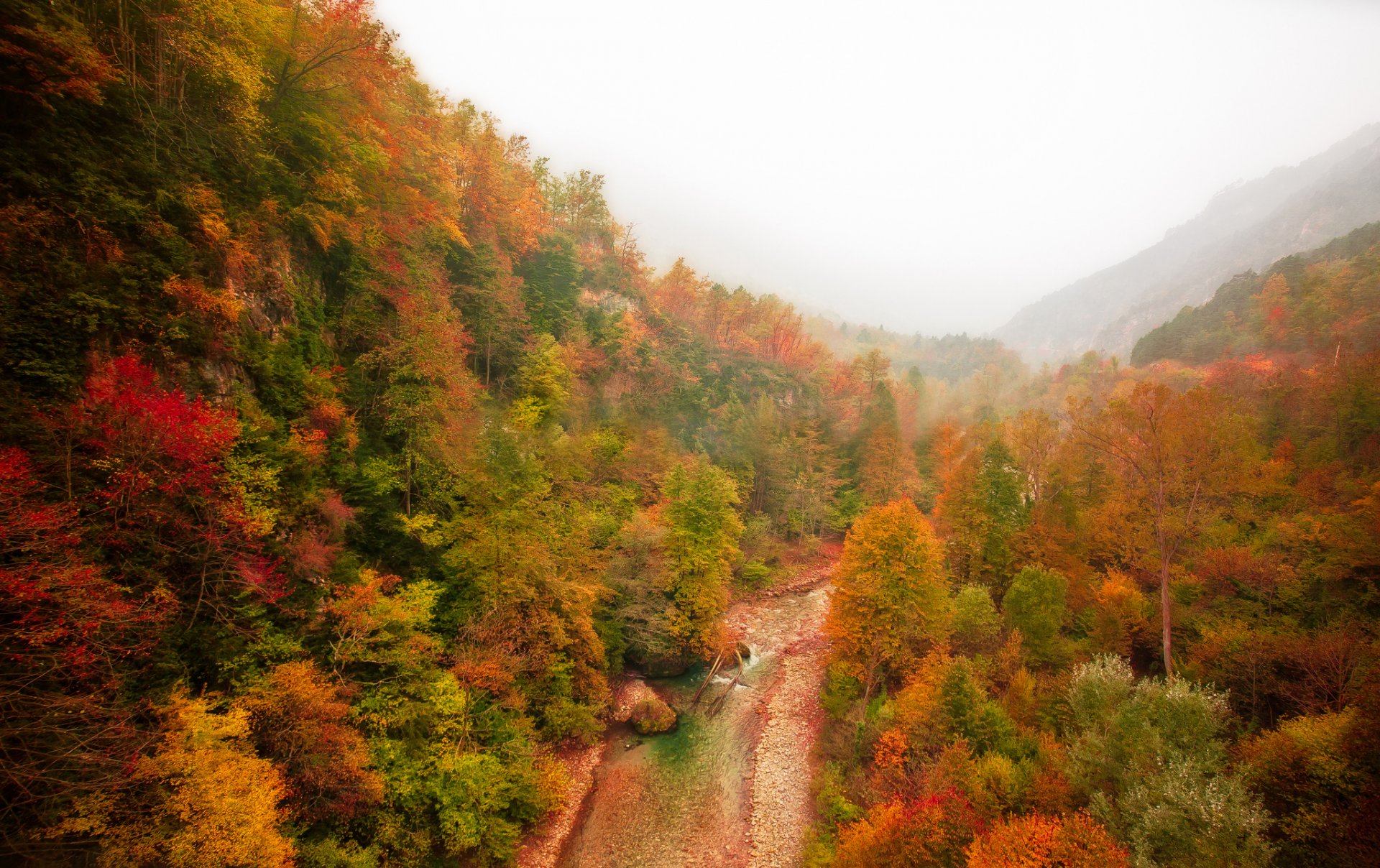 montañas bosque río otoño niebla