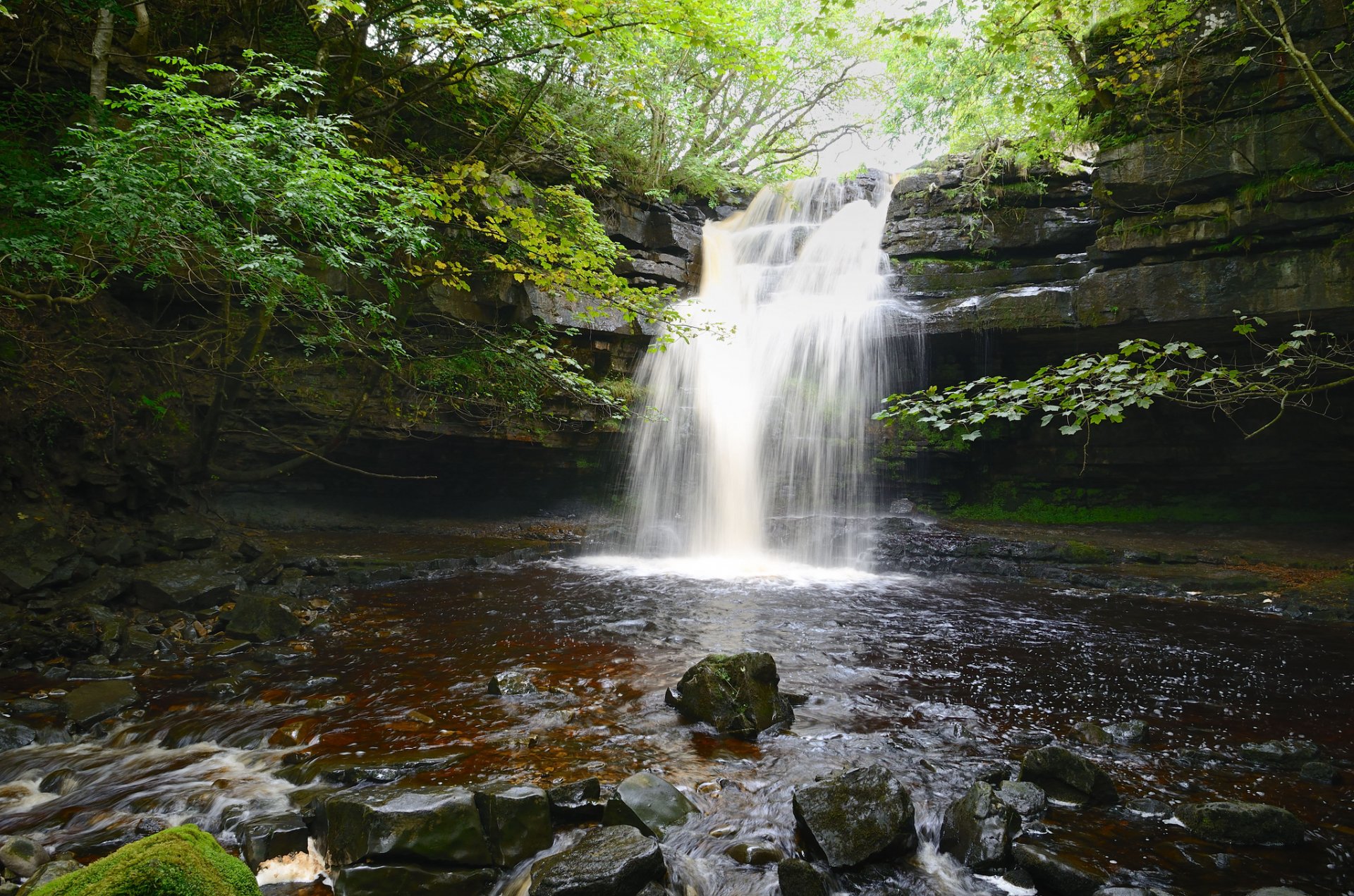 alberi cascata flusso pietre