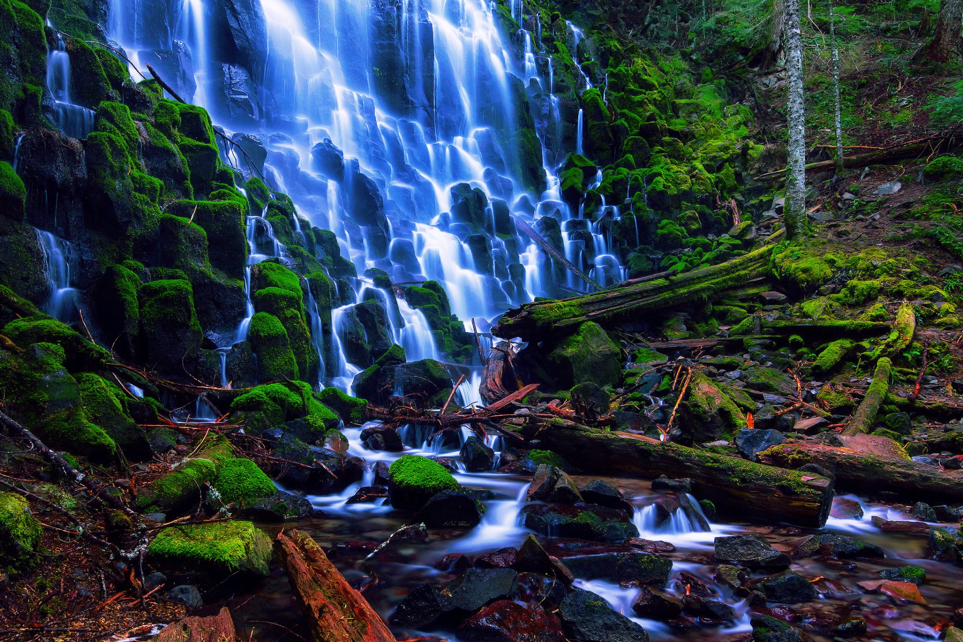 estados unidos bosque nacional mount hood oregon ramona falls cascada rocas musgo ramas bosque arroyos verano agosto