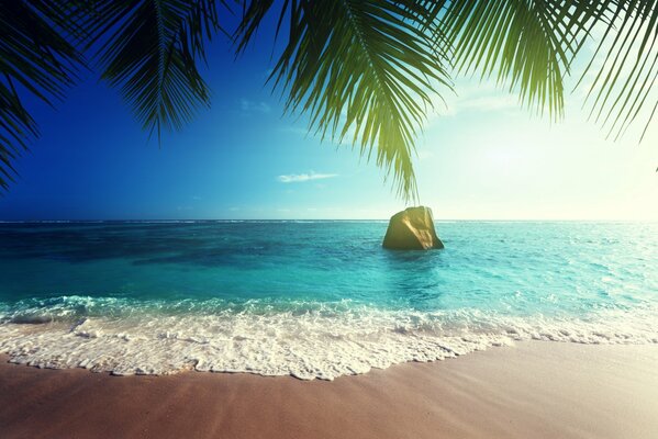 Spiaggia di sabbia tropicale soleggiata