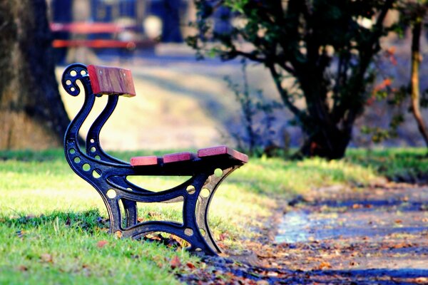 Un petit banc à côté d un sentier sur un fond d arbres