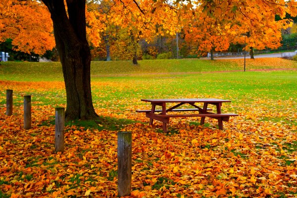 Automne confortable coin de silence