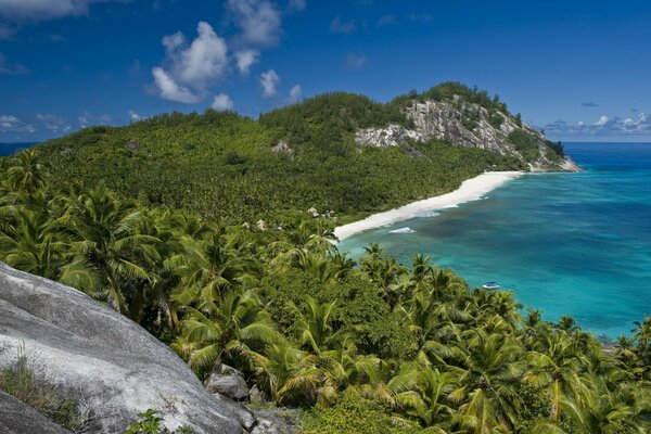 Playa exótica con palmeras Morm y rocas detrás