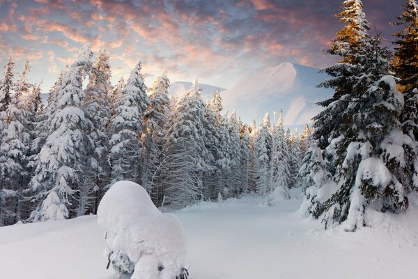 Foresta di neve invernale in cumuli di neve sotto le nuvole