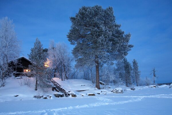 Winter evening landscape with a house