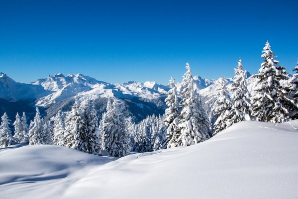 Winterlandschaft und blauer Himmel