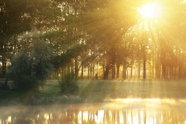 Nebligen frühen Morgen am See