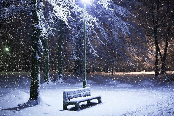 A bench in a snowy park