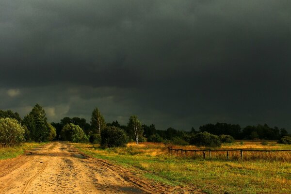 Cielo tormentoso sobre el campo amarillo