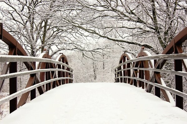 Landscape bridge in the snow trees