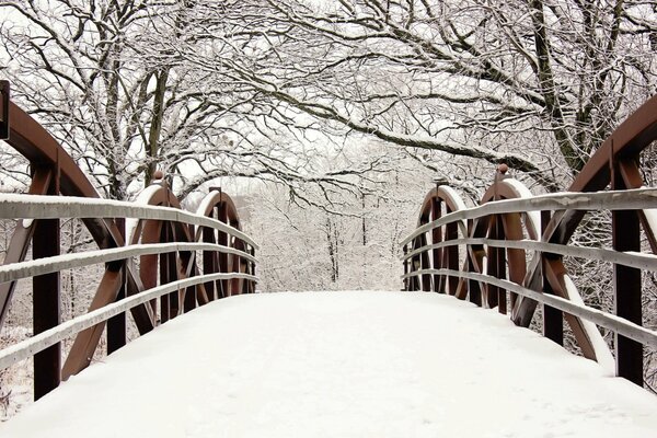 Paisaje puente en la nieve árboles