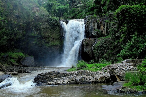 Schöne Aussicht auf den Wasserfall, der von den Felsen im grünen Dschungel fällt
