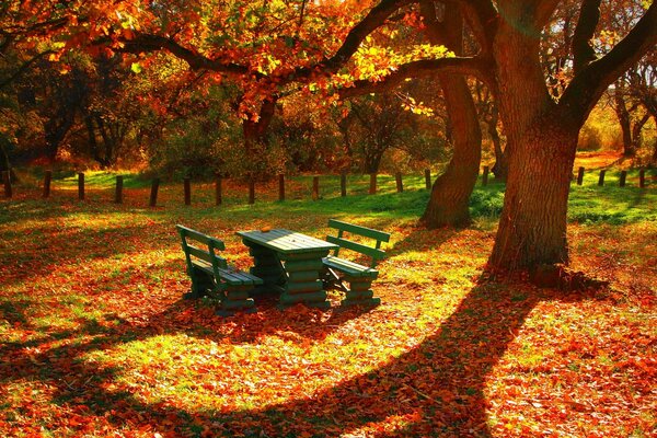 Место отдыха в осенней листве