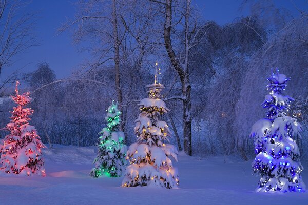 Lights of multicolored garlands on fir trees in the forest at night
