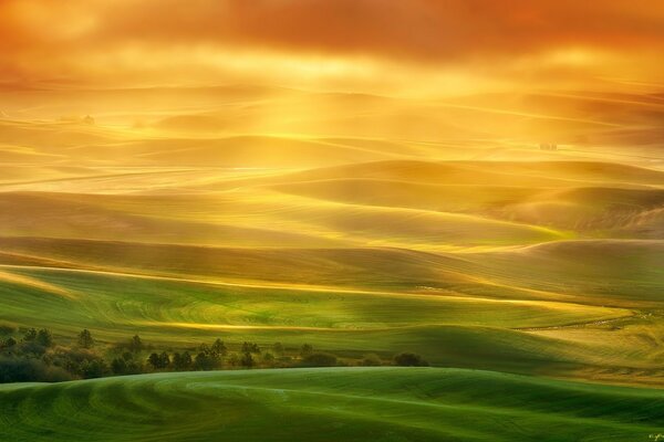 Landscape field sunset dune