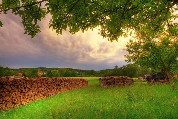 Catasta di legna da ardere in una radura verde in estate