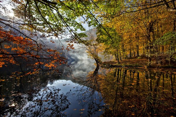 Ein Waldfluss in Herbstlaub