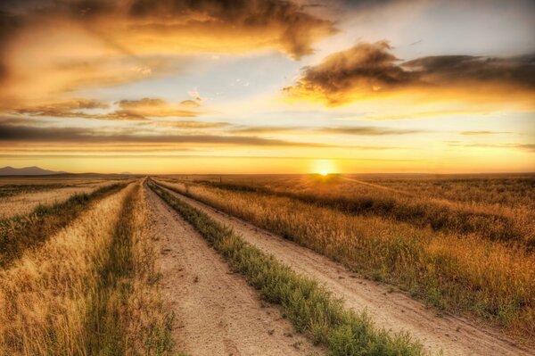 Puesta de sol en el campo. Pantalla completa. De pantalla ancha