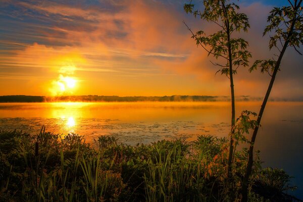 Morgennebel über der Oberfläche des Sees