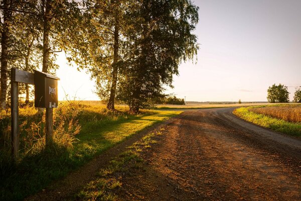 Boîte aux lettres en bordure de route