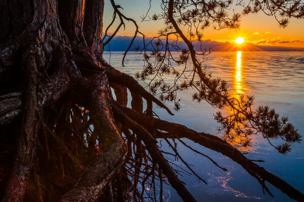 Sonnenuntergang am See