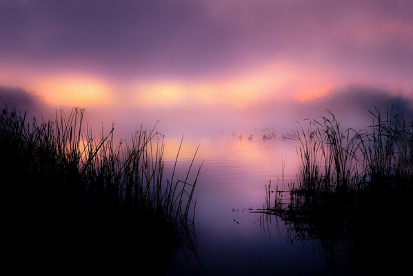 Earlier foggy morning on the lake