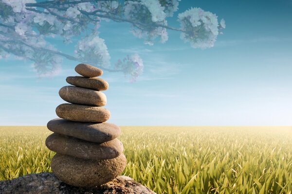 Pyramide aus Kieselsteinen auf dem Gras