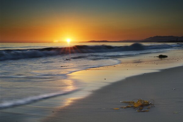 Belleza nocturna de la playa de arena