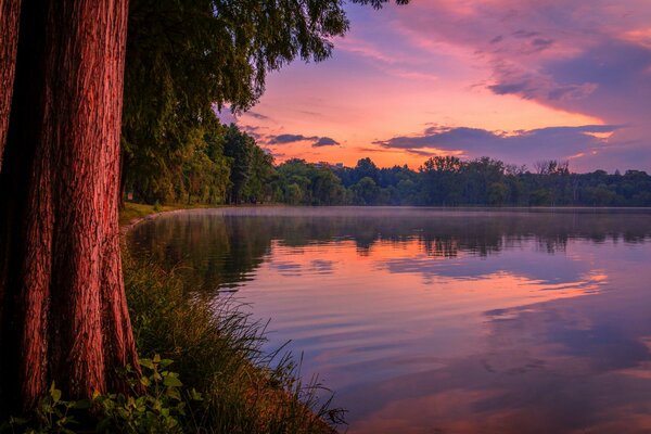 Paesaggio con tramonto sul lago della foresta