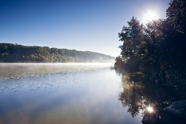 Mattina nebbiosa sul fiume