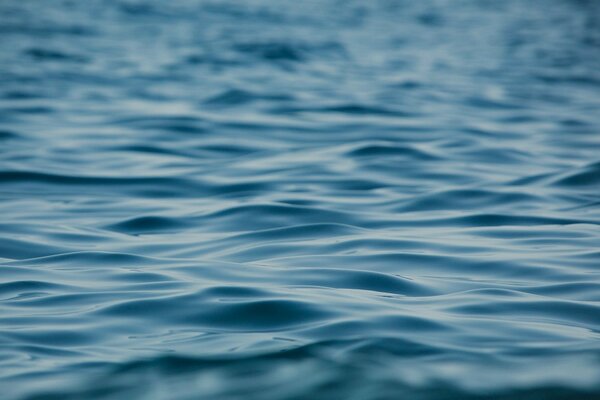 Photo of a calm blue sea