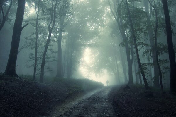 Fog in the forest and a lonely man walking along the path