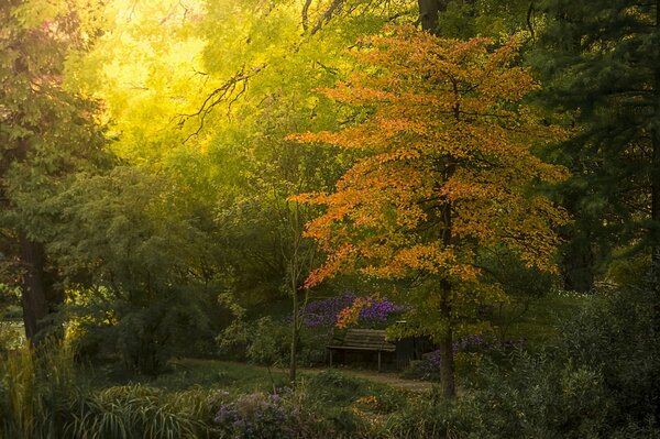 Ławka w Ogrodzie Botanicznym