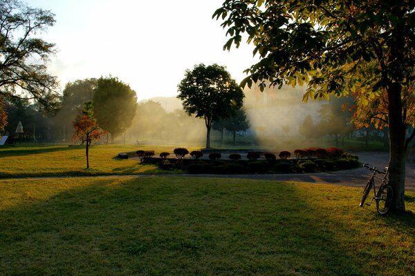 Shining sun in the park