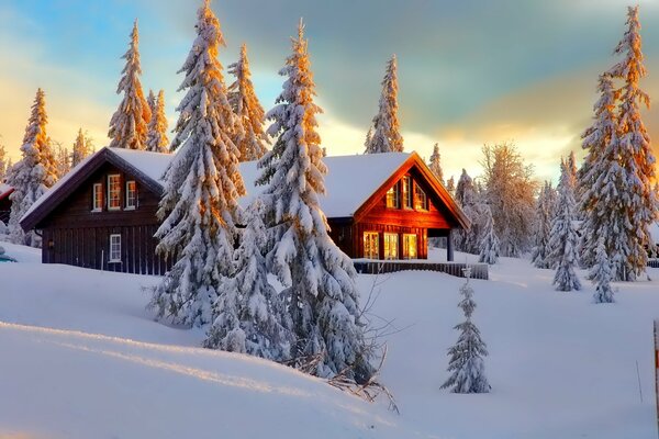 Maison dans la forêt d hiver. Arbres enneigés