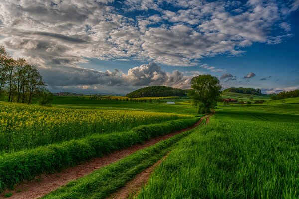 Nature landscape with beautiful sky and field