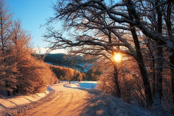 Der Weg durch den Winterwald in der Sonne