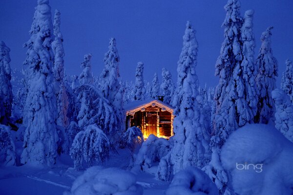 Ein Haus unter schneebedeckten Weihnachtsbäumen