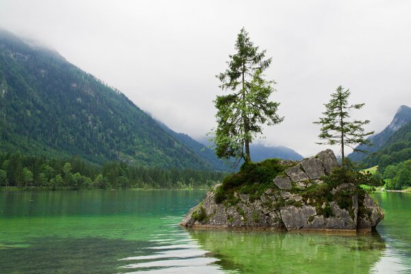 Bavaria photo forest lake and mountains