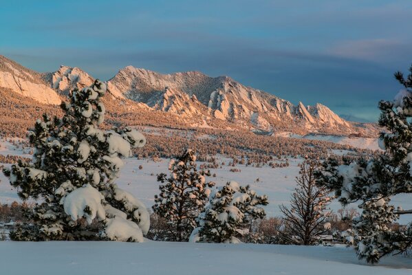 Forêt d hiver avec des montagnes et des arbres