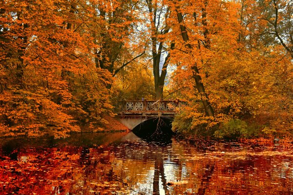 Fluss über die Brücke im Herbstwald